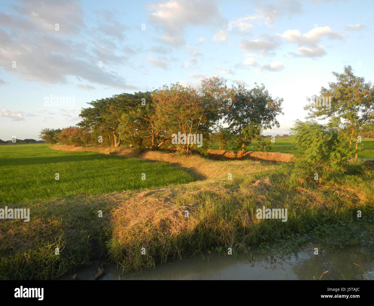 01026 Cuayang Bugtong Arch Candaba Pampanga Fields Farm Market