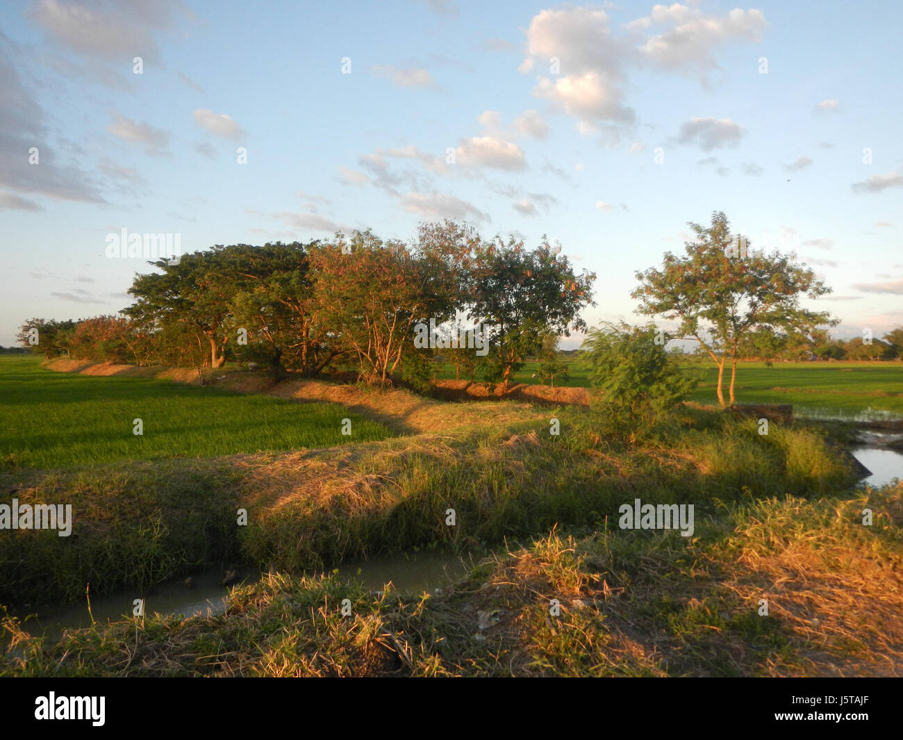 This reference describes a location in Candaba, Pampanga, Philippines ...