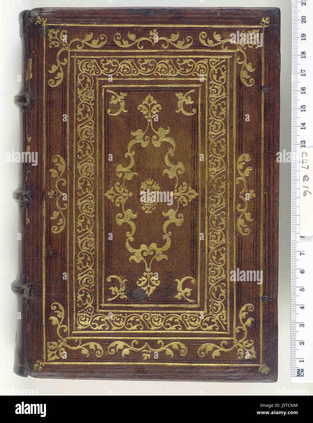 -Vocabolario, grammatica, et orthographia de la lingua volgare con ispositioni di molti luoghi di Dante - Upper cover (c47e16) Stock Photo