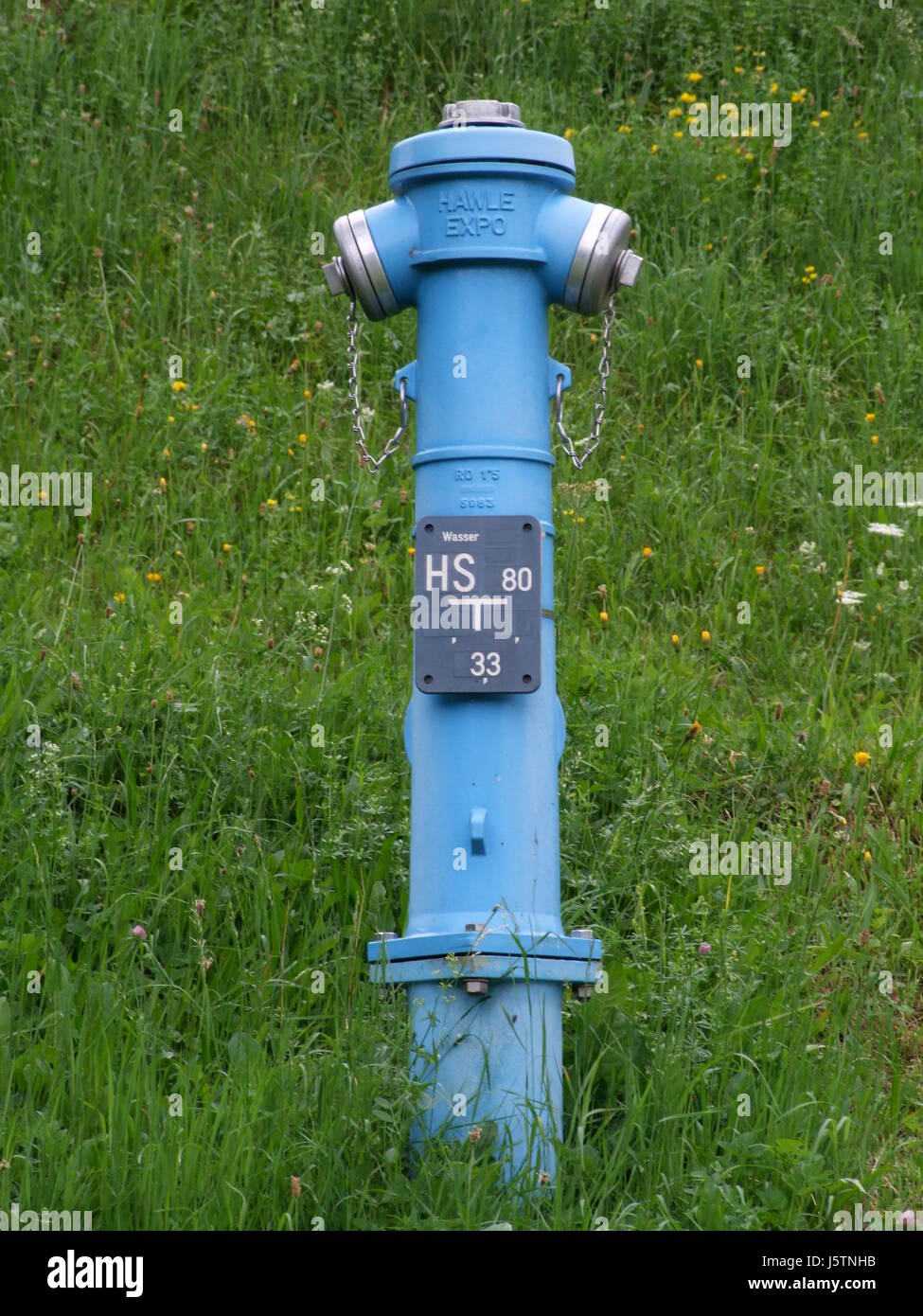 blue,provision,green,fire,conflagration,fire brigade,fireplug,meadow,discharge Stock Photo
