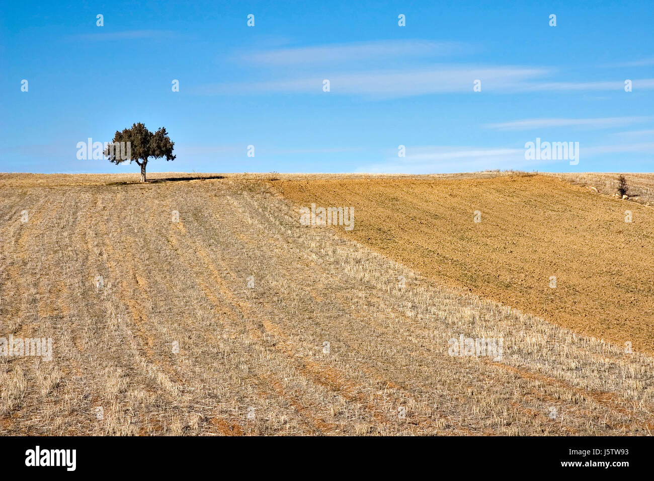 Agriculture field acre winter hi-res stock photography and images - Alamy