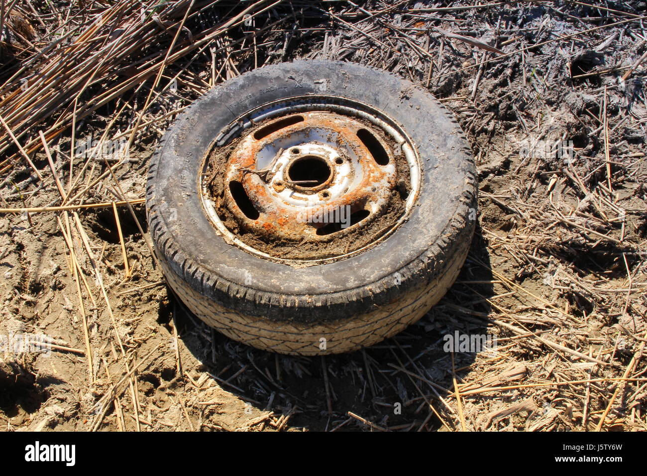 Used tire that pollutes nature Stock Photo