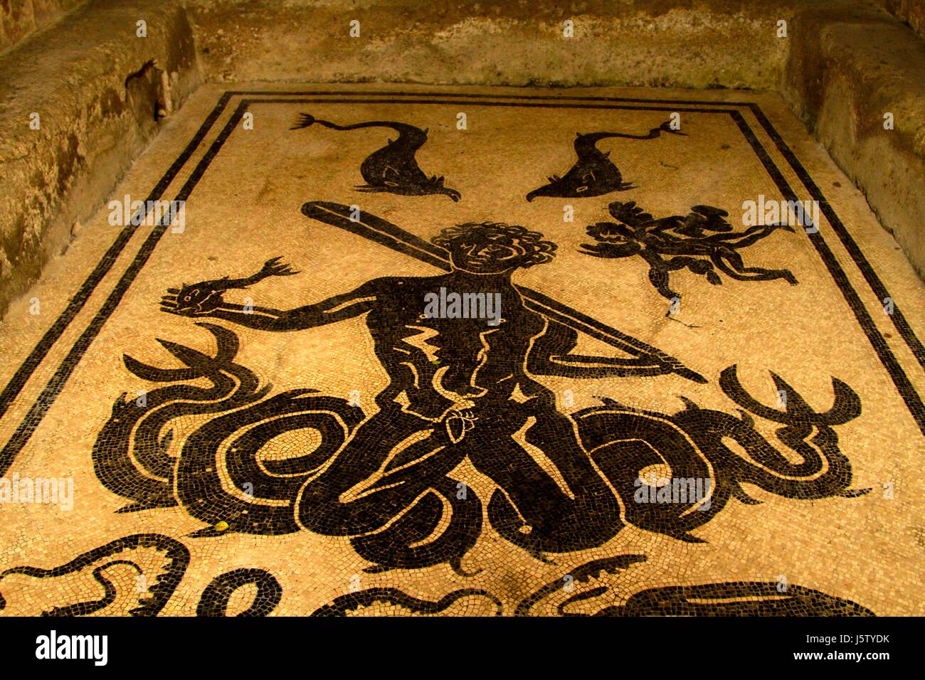 Preserved original Nepturen floor mosaic in the men's bath at Herculaneum, Campania, Italy Stock Photo