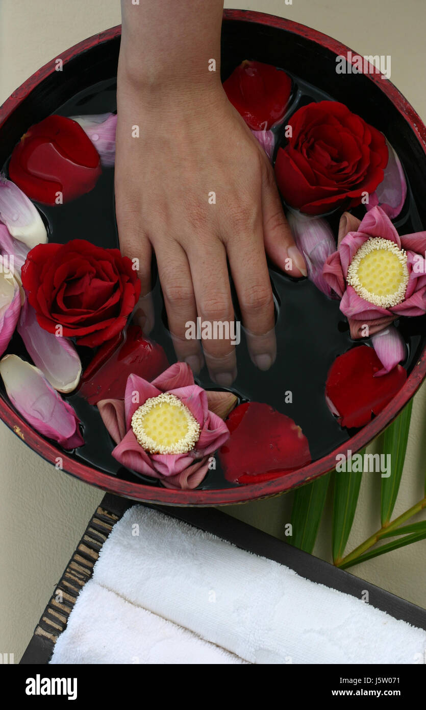 flower flowers plant wellness massage cosmetics beauty care manicure bathing Stock Photo