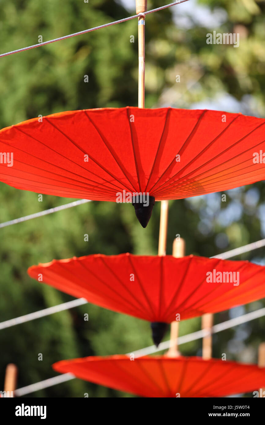 Decorative Chinese umbrellas in composition, Thailand, south east asia