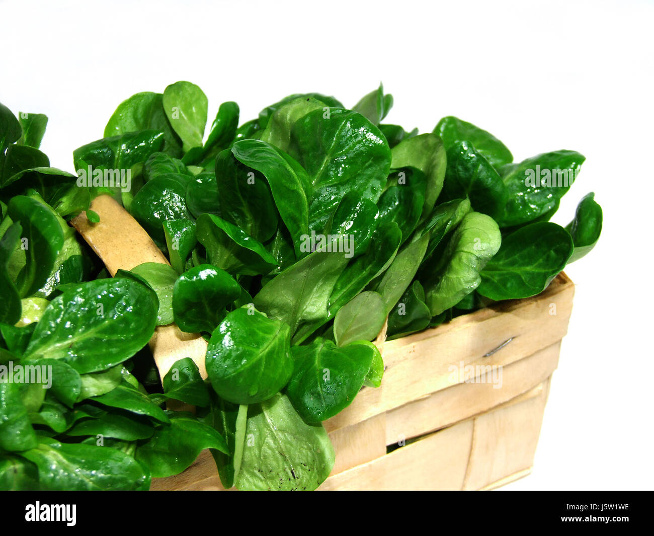 green lamb's lettuce salad health vitamins vitamines rich in vitamins lamb's Stock Photo