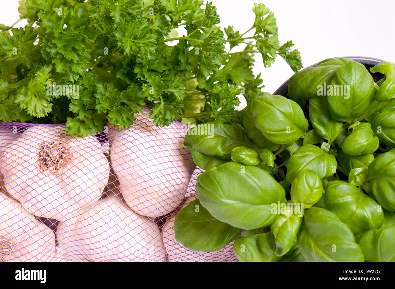 tuber basil garlic parsley herbs shine shines bright lucent light serene Stock Photo