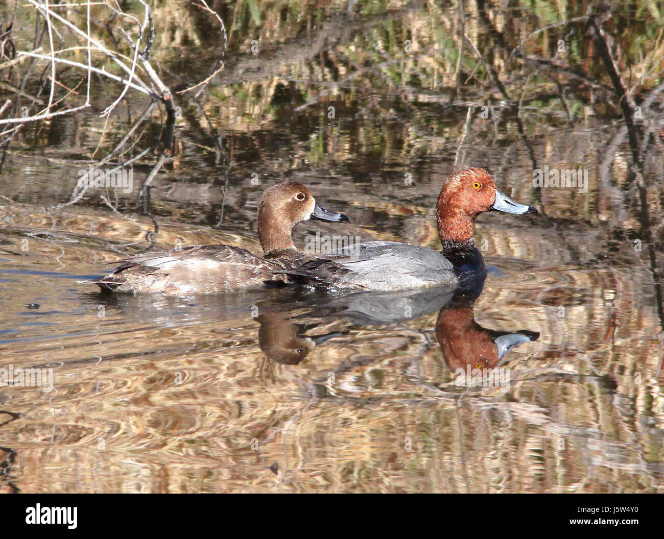 Peña blanca lake hi-res stock photography and images - Alamy