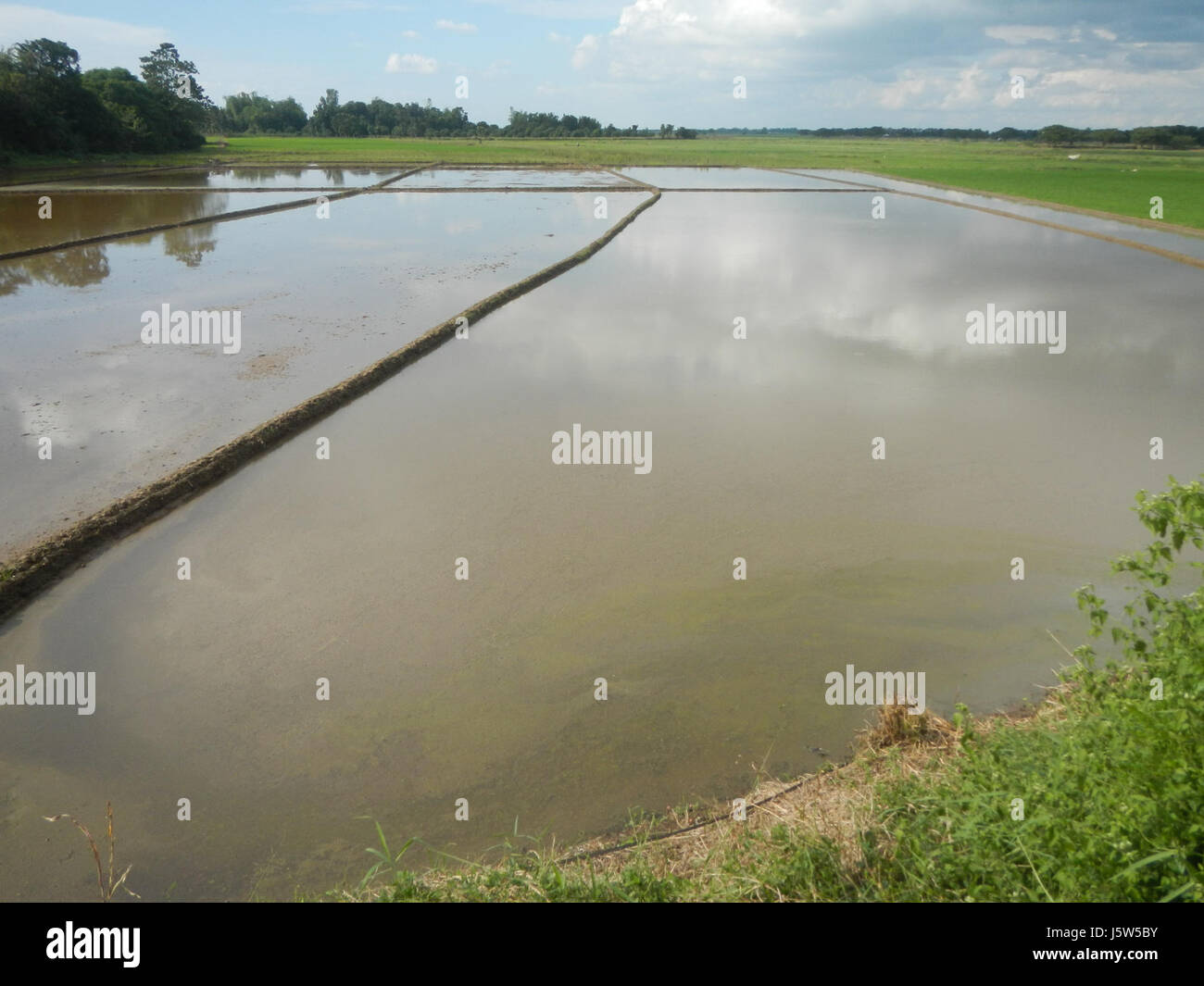 0135 Paddy Fields Grasslands Roads Calasag San Ildefonso Lapnit Bulacan