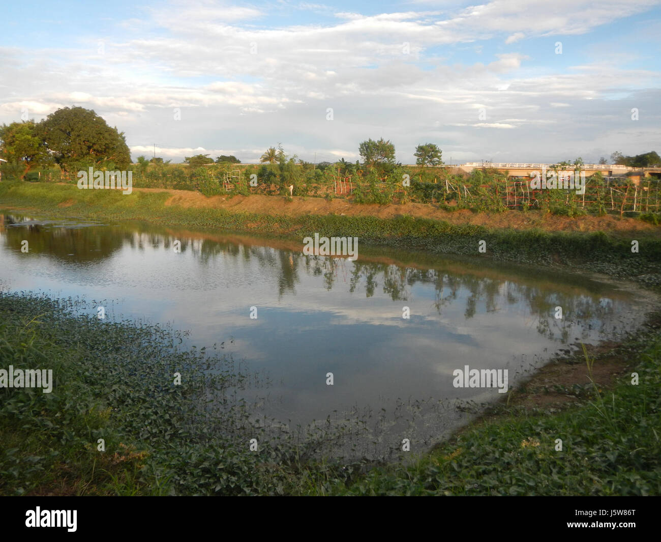 This image depicts the rural landscape of Sakdalan, San Jose, Plaridel ...