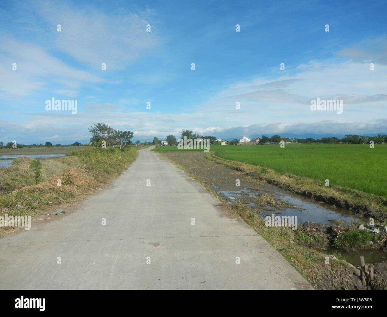 Sitio Pinagpala Extension in San Miguel, Bulacan, is a rural area in ...