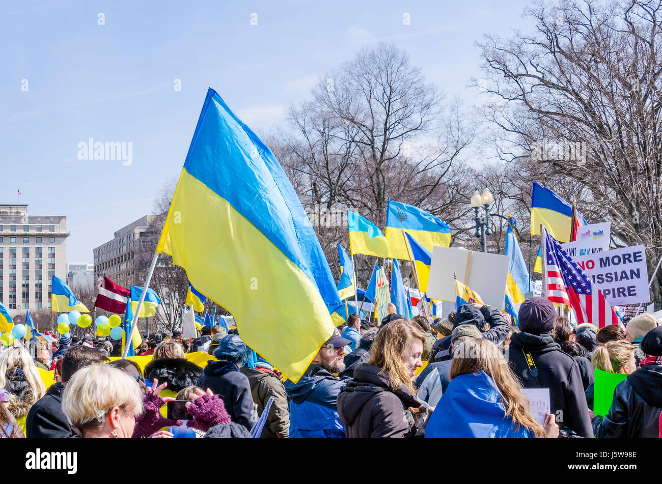 Washington DC, USA - March 6, 2014: People holding Ukrainian flags during protest by White House Stock Photo