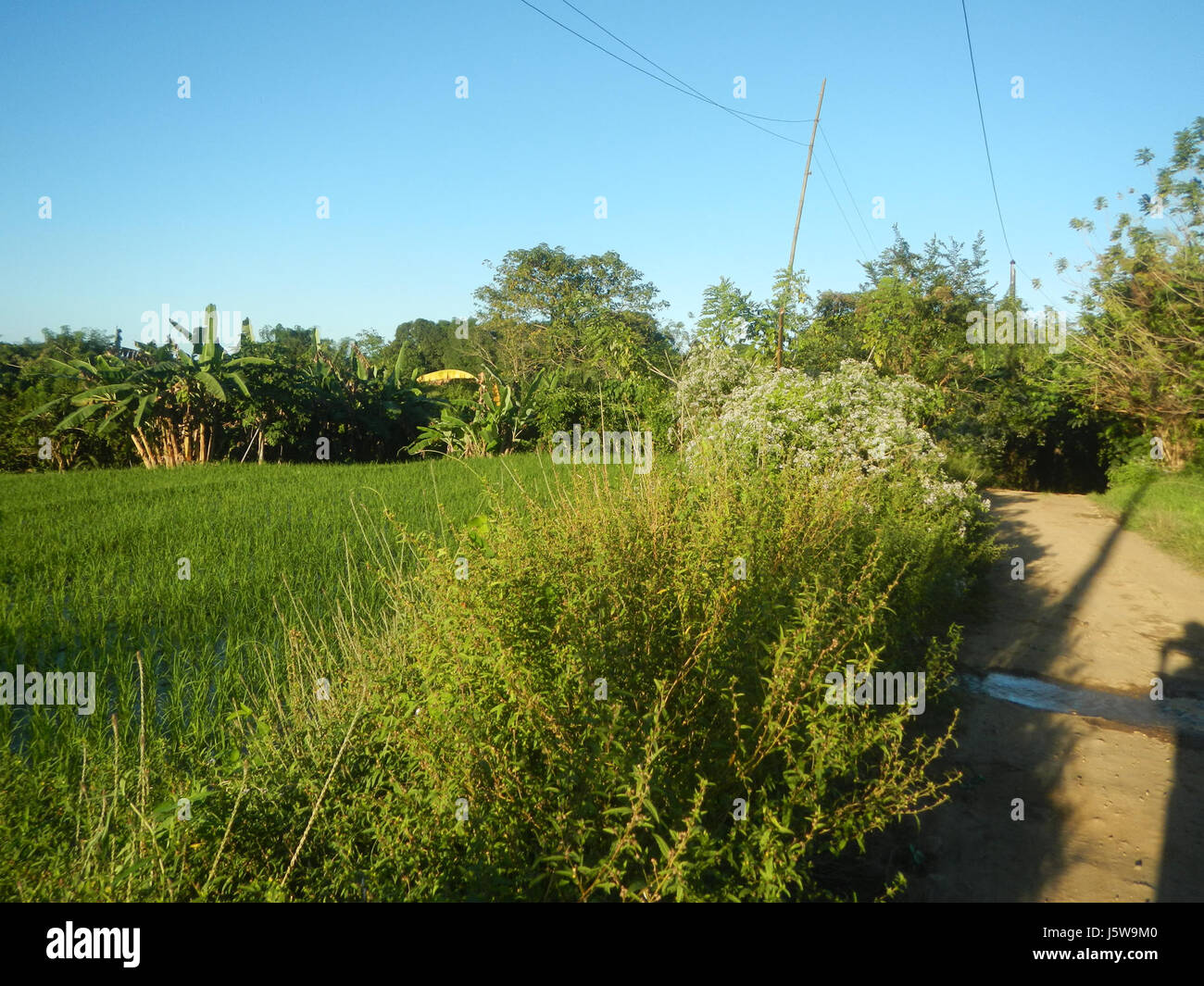 This entry depicts the rural landscape of San Rafael, Bulacan ...