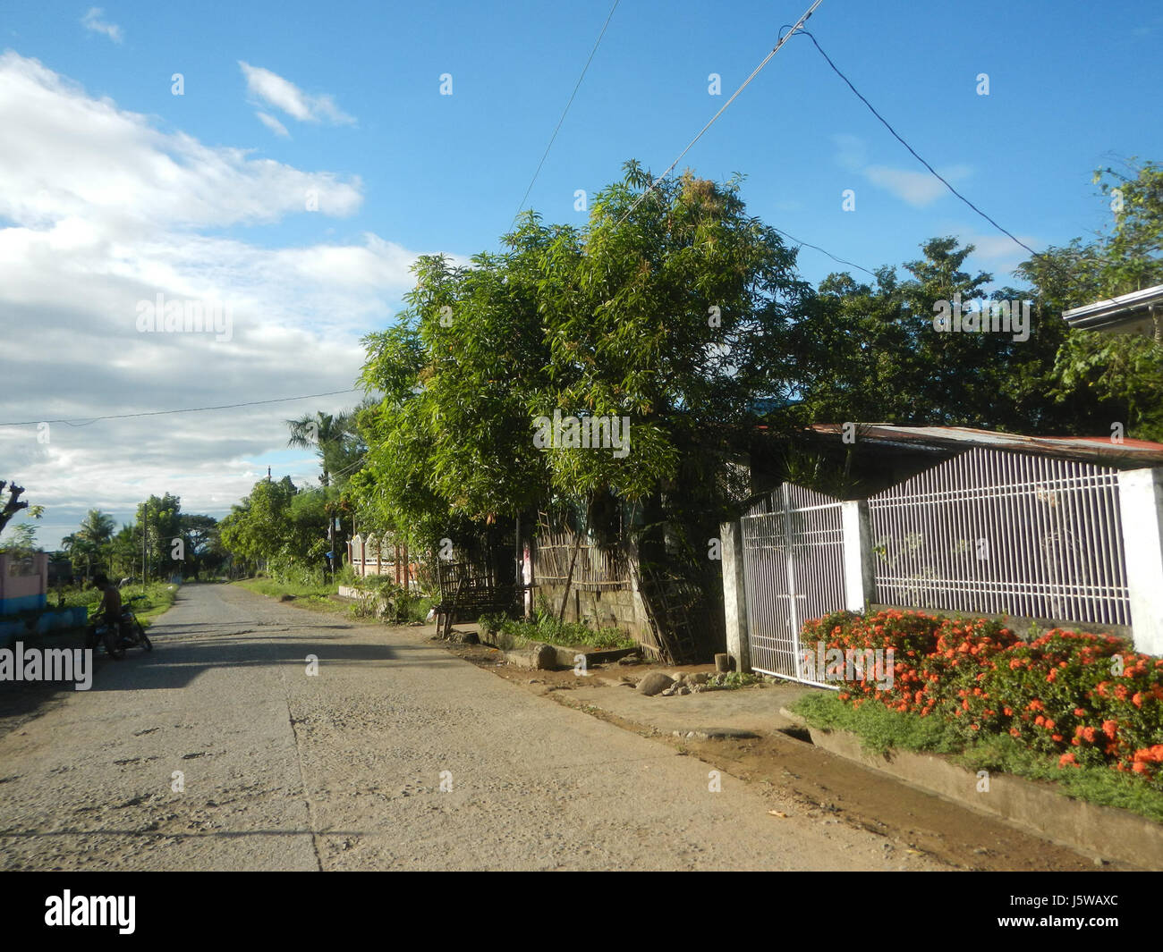 This image captures a rural scene featuring expansive paddy fields and ...