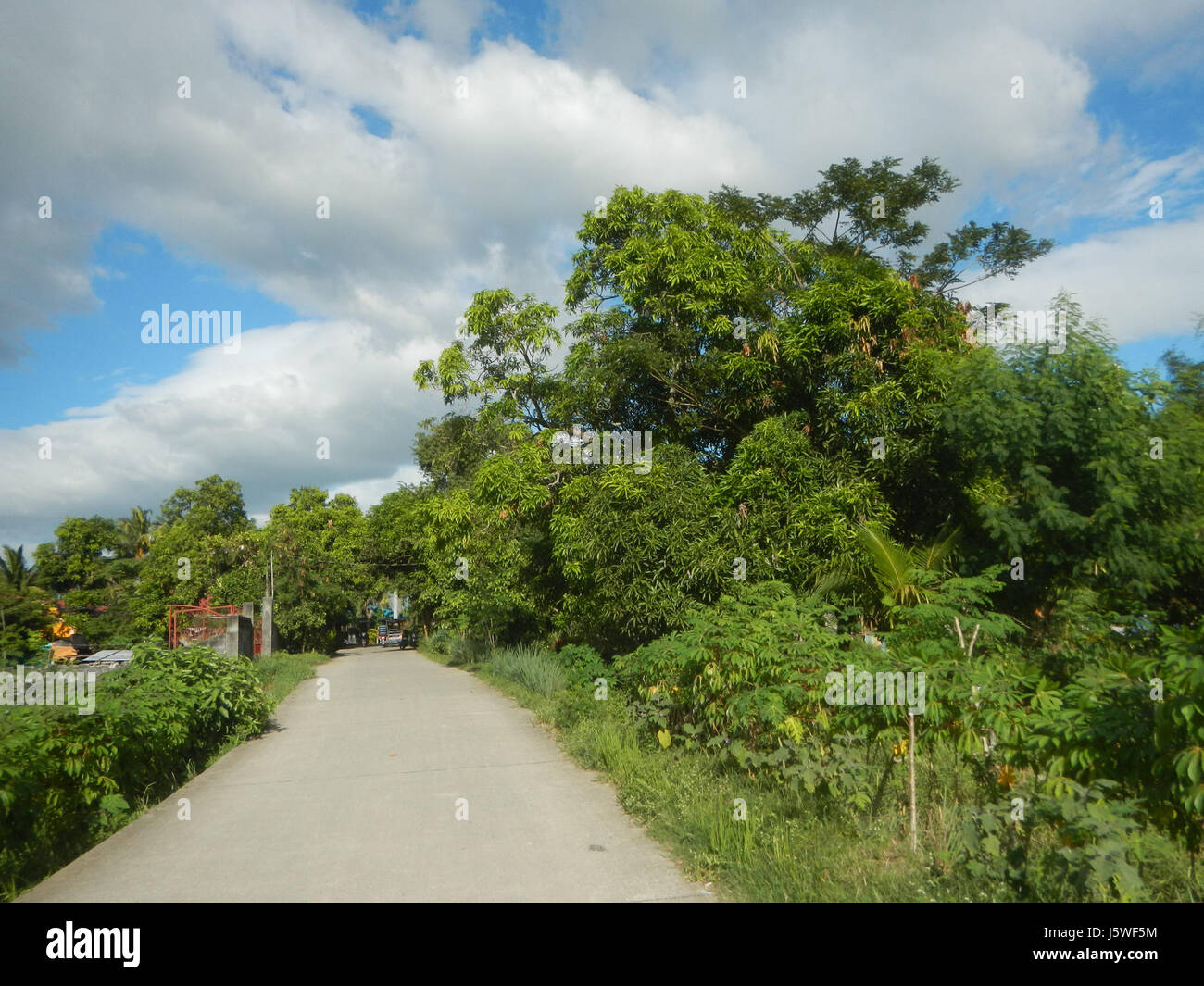 Silang Tree Farms produce natural goods hi-res stock photography and images - Alamy