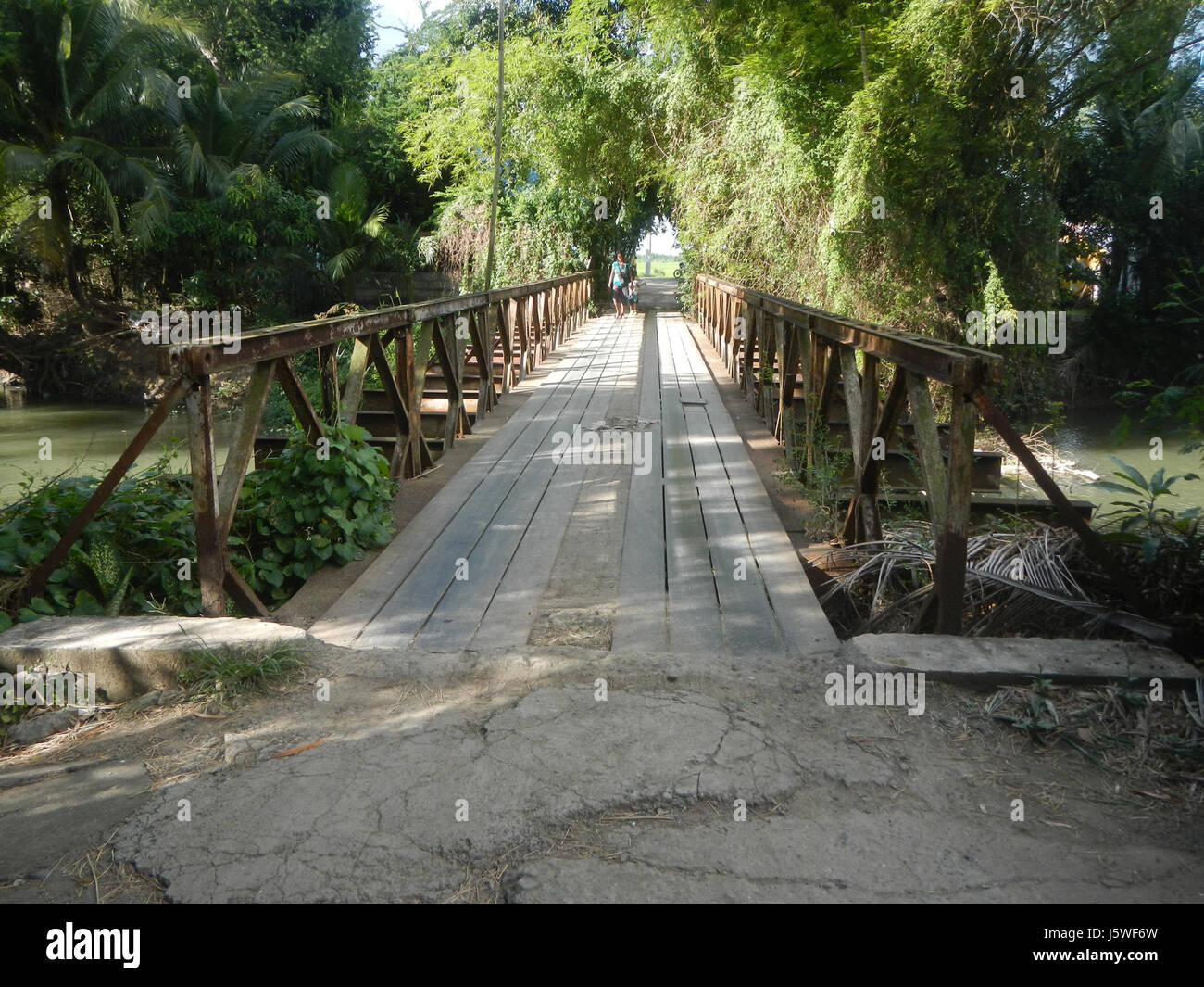 Silang Tree This image depicts the rural landscape of Bagong Silang, San Miguel ...