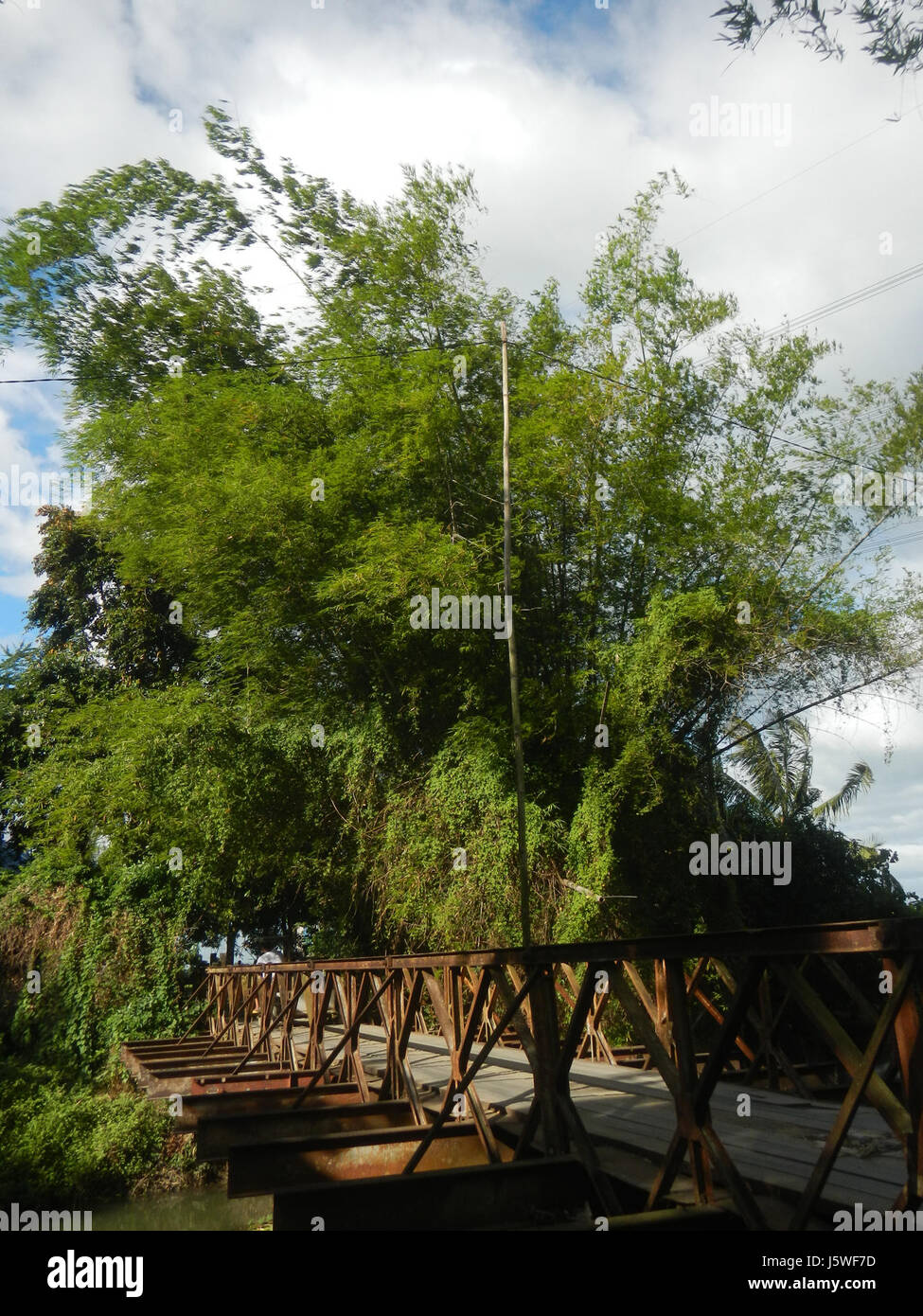 Silang Tree This entry details the agricultural landscape in Bagong Silang, San ...