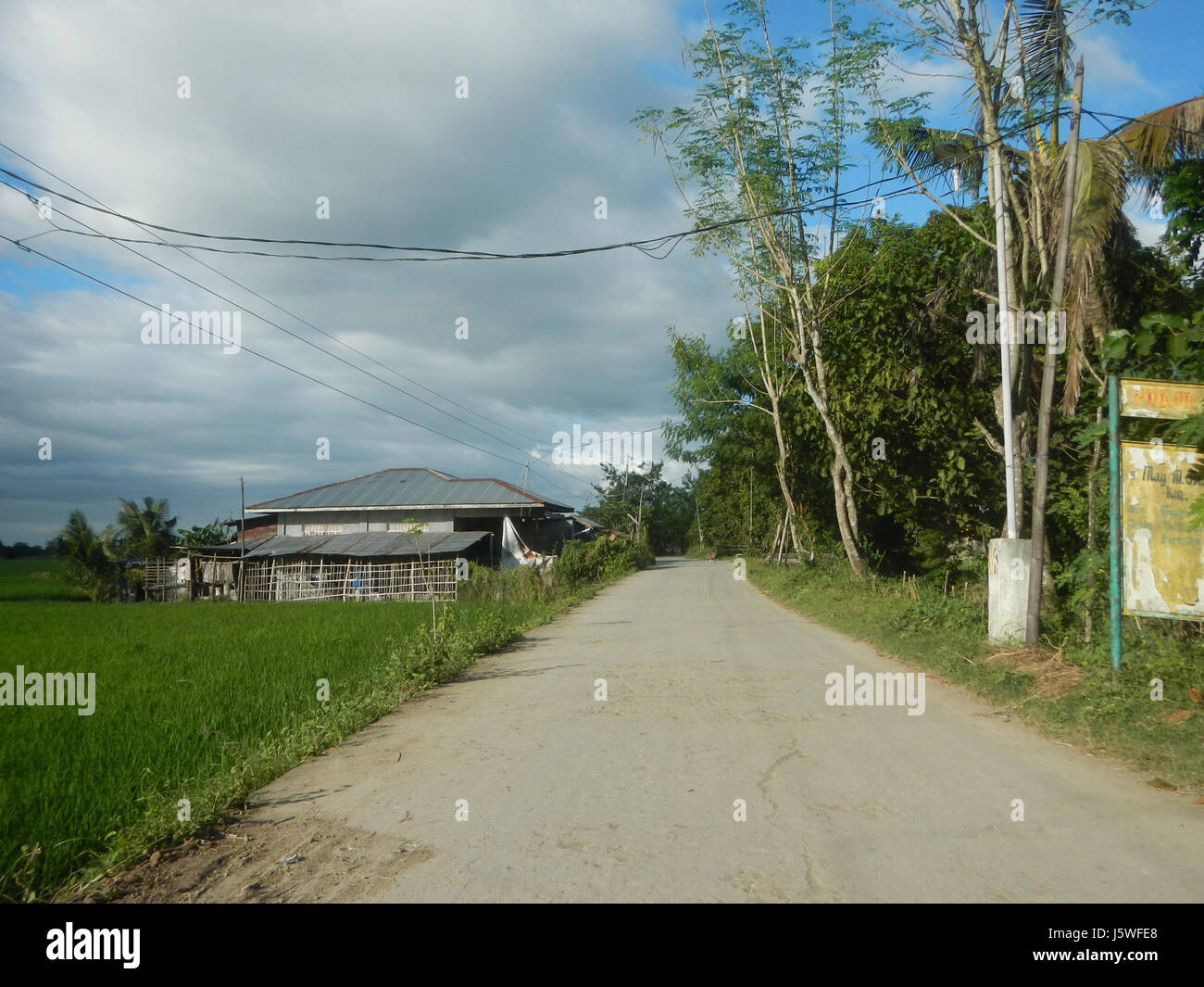 Silang Tree 0514 Paddy fields trees Bagong Silang San Miguel Bulacan Farm Market ...