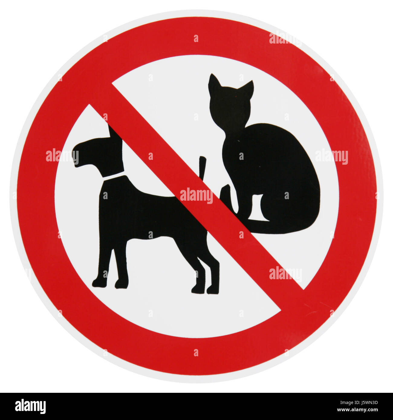 Перечеркнутая собака в круге. С животными запрещено. Значок с животными нельзя. Знак животные запрещены. Запрещенные собаки.