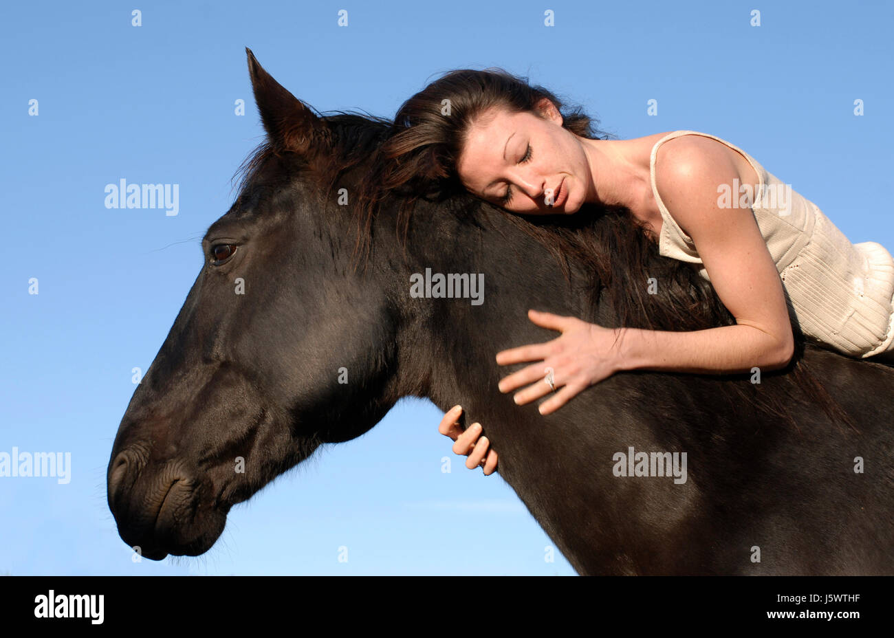woman horse animal black swarthy jetblack deep black stallion riding girl girls Stock Photo