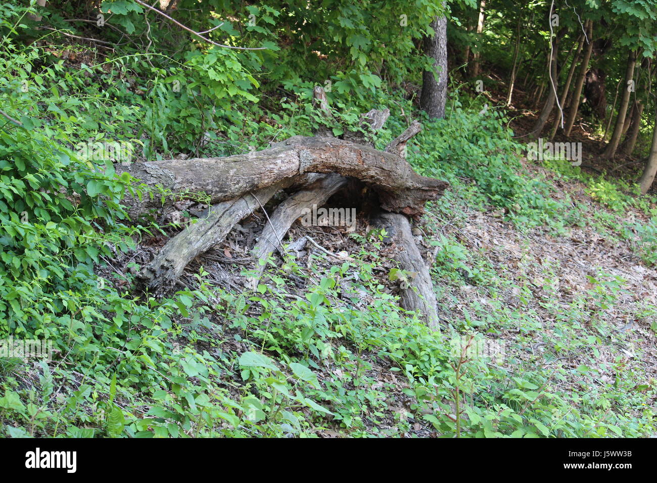 East fairmount park in philadelphia hi-res stock photography and images ...