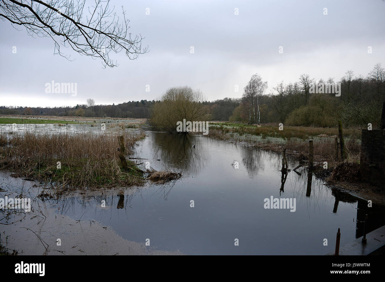 meadows high tide lower saxony high pressure area water easter spring meadows Stock Photo