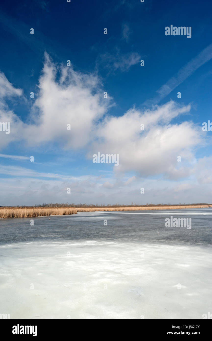Frozen lake in Upper Swabia, Southern Germany Stock Photo