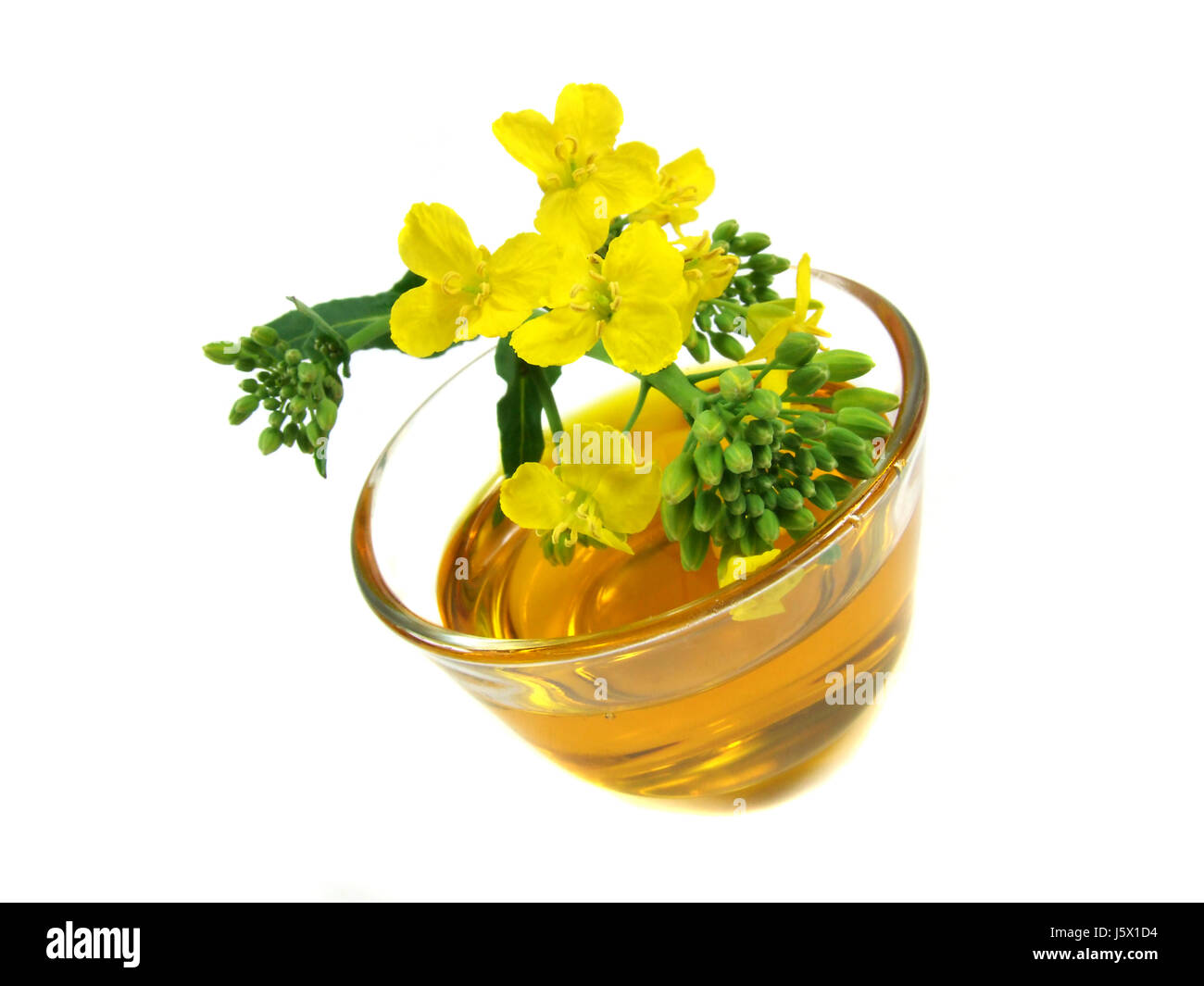 coleseed huddled coleseed boil cooks boiling cooking huddled yellow roast fry Stock Photo