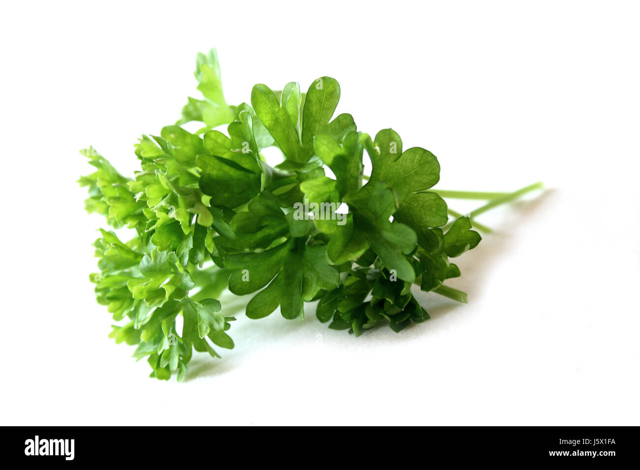parsley garnish greens condiment ornament decoration parsley savoury