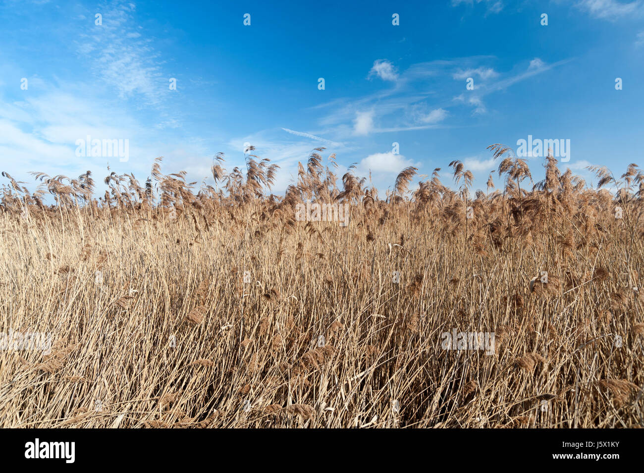 Oberschwaben germany hires stock photography and images Alamy