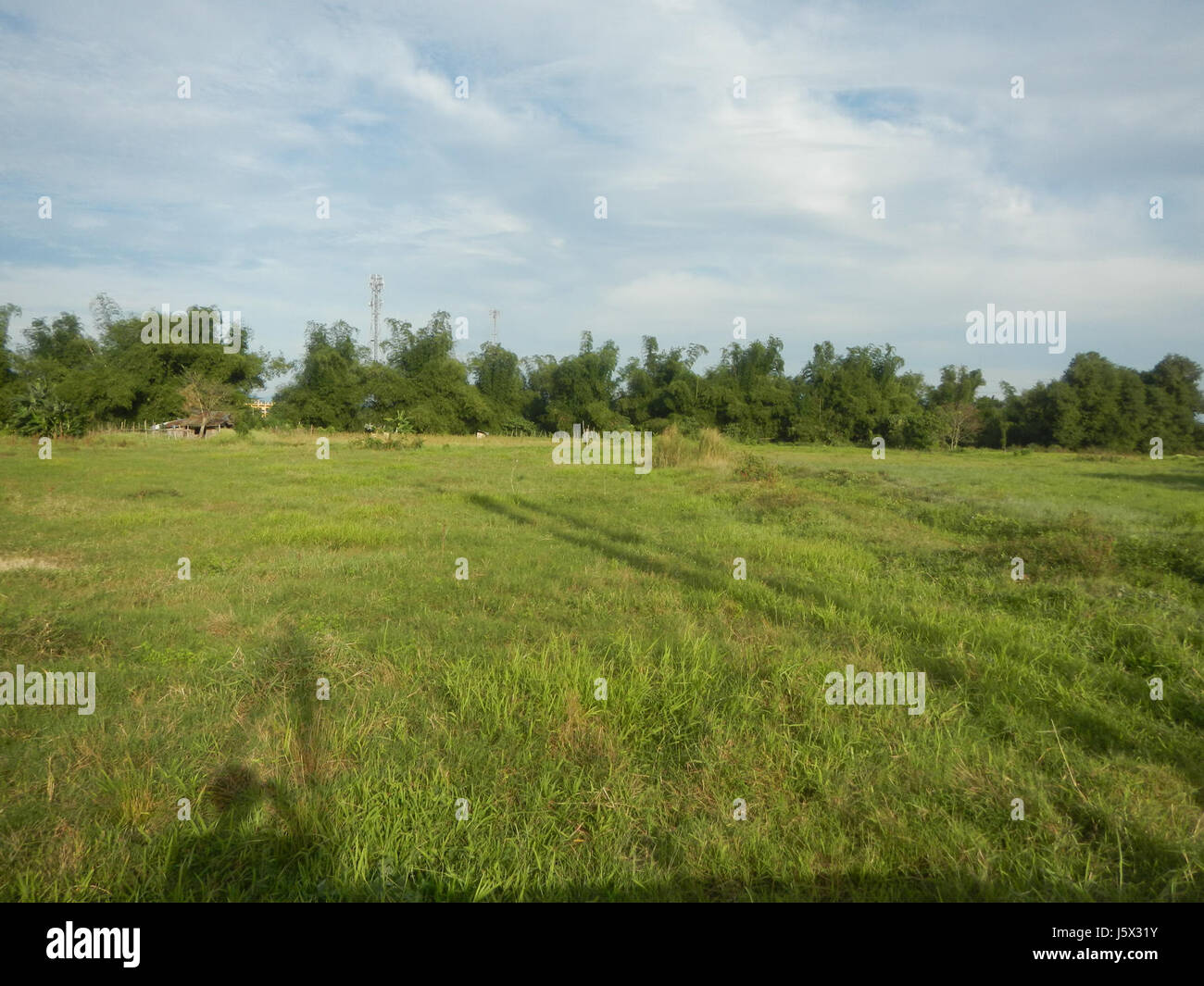 Sumacab This image shows the lush paddy fields and grasslands in Sumacab Sur ...