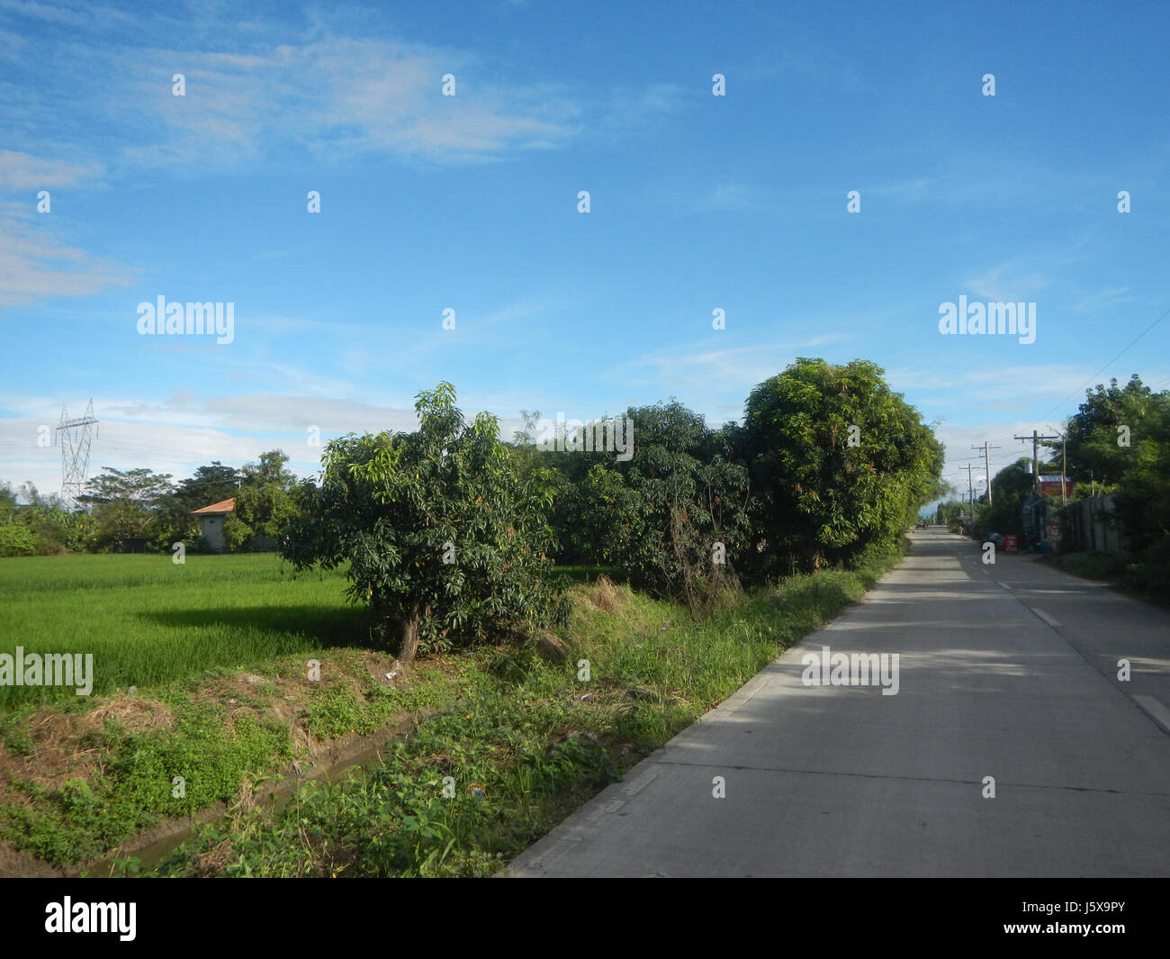 Rural scene depicting paddy hi-res stock photography and images - Alamy