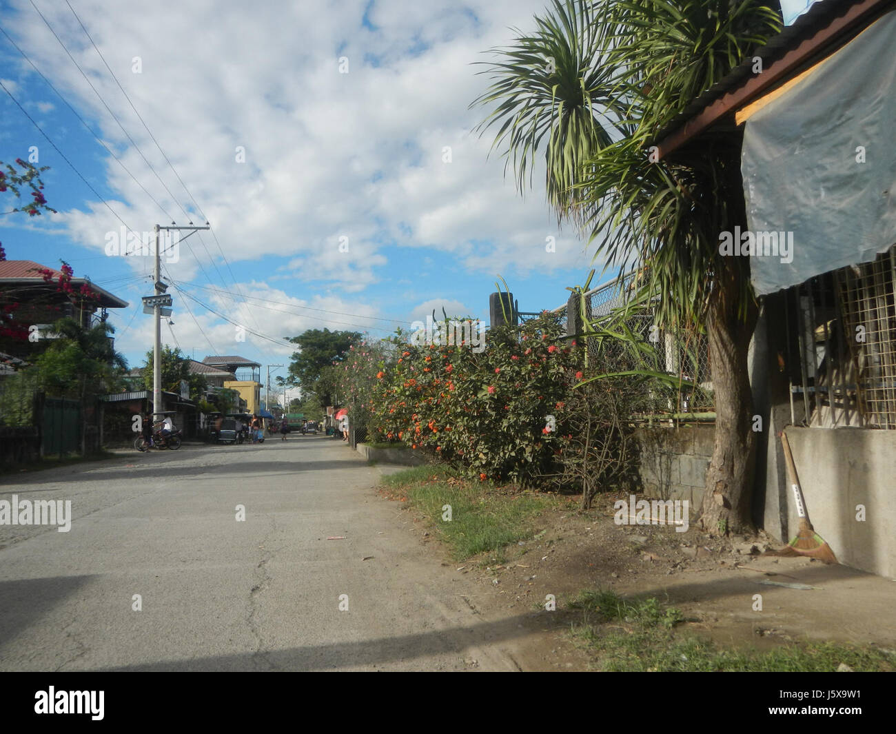 03337 Paddy fields grasslands, trees and irrigation San Isidro Nueva