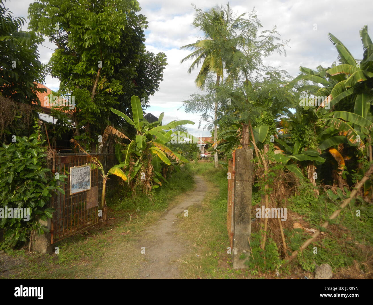 03515 Paddy fields grasslands, trees and irrigation Pulo Tabon San