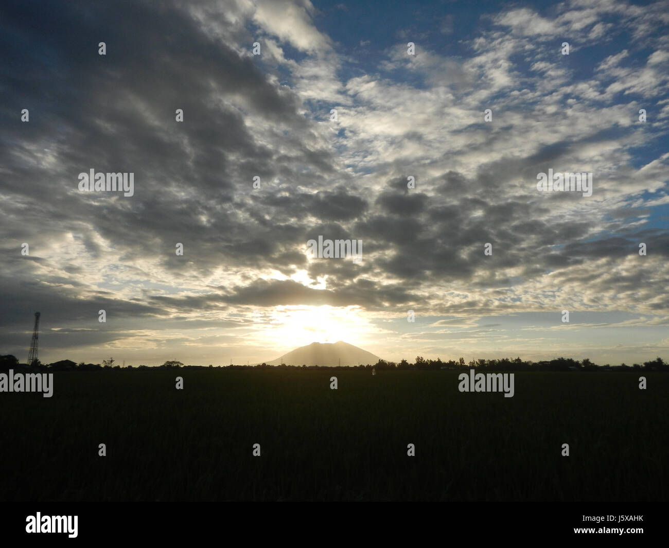 04020 Paddy fields, grasslands, trees and irrigation Pulo, San Isidro