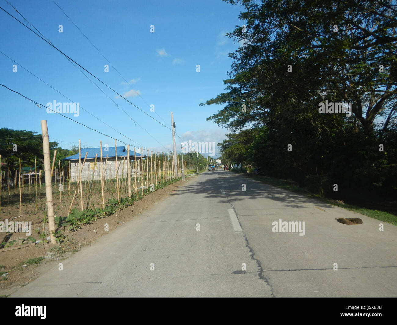 04390 San Miguel Bulacan Candaba Salapungan Pamapanga Road  19 Stock Photo