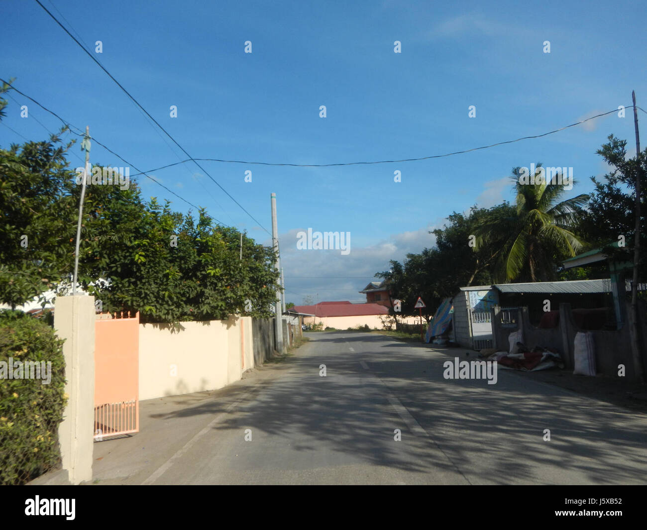 04429 Paddy fields Salapungan Roads Magumbali Candaba Pampanga  29 Stock Photo