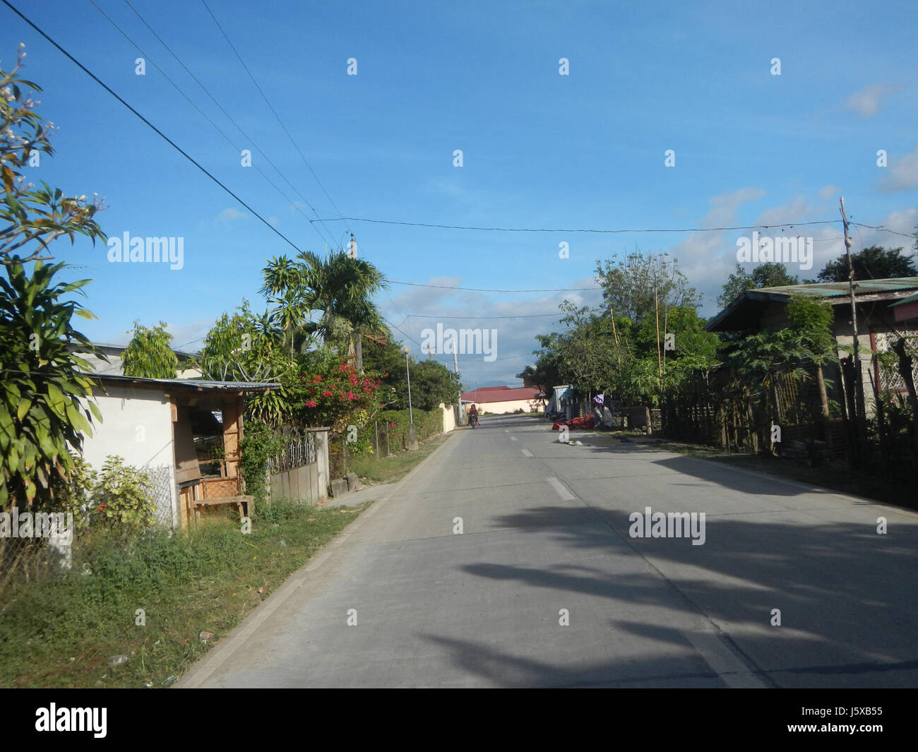04429 Paddy fields Salapungan Roads Magumbali Candaba Pampanga  32 Stock Photo