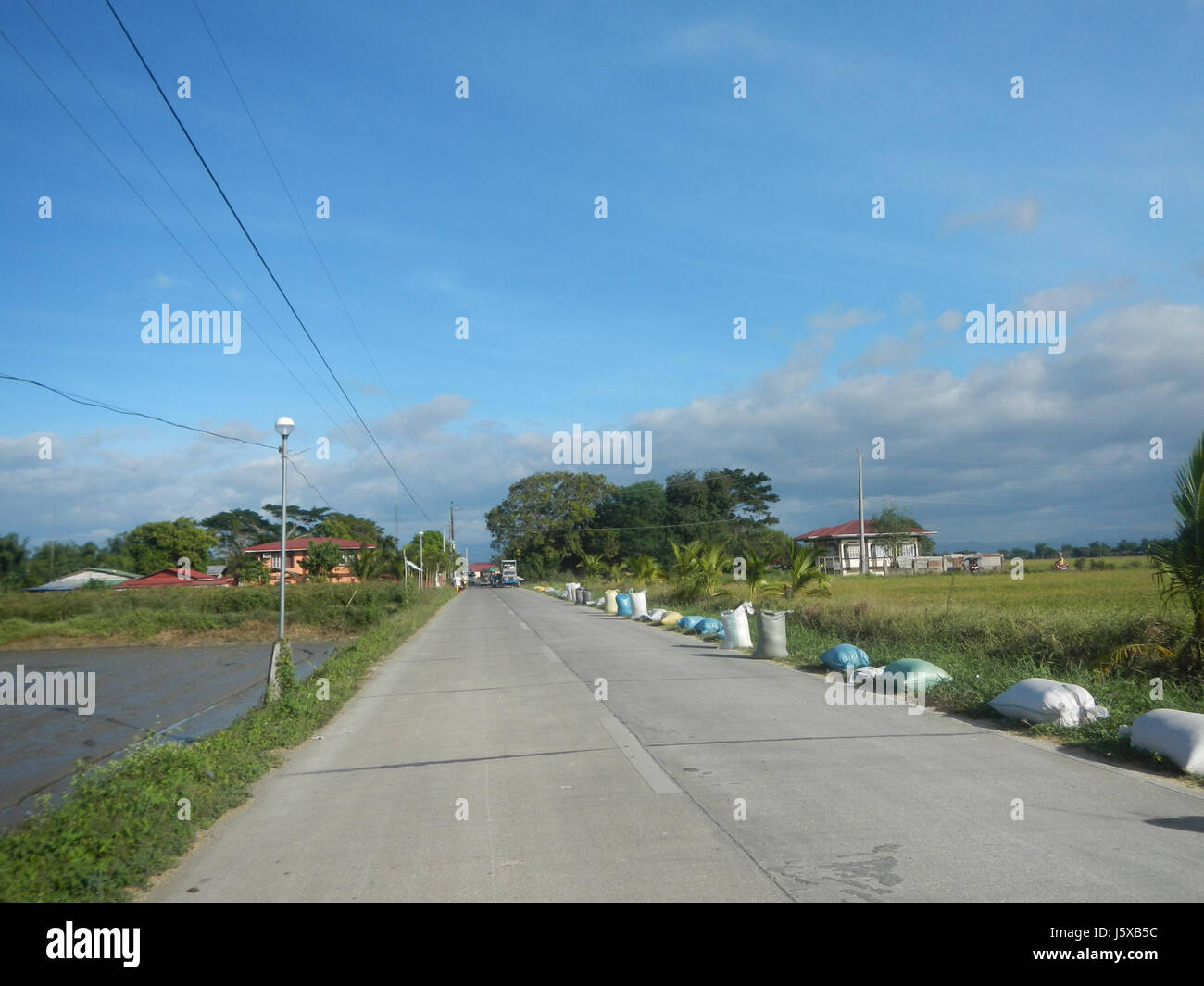 04473 Paddy fields Salapungan Roads Magumbali Candaba Pampanga  07 Stock Photo