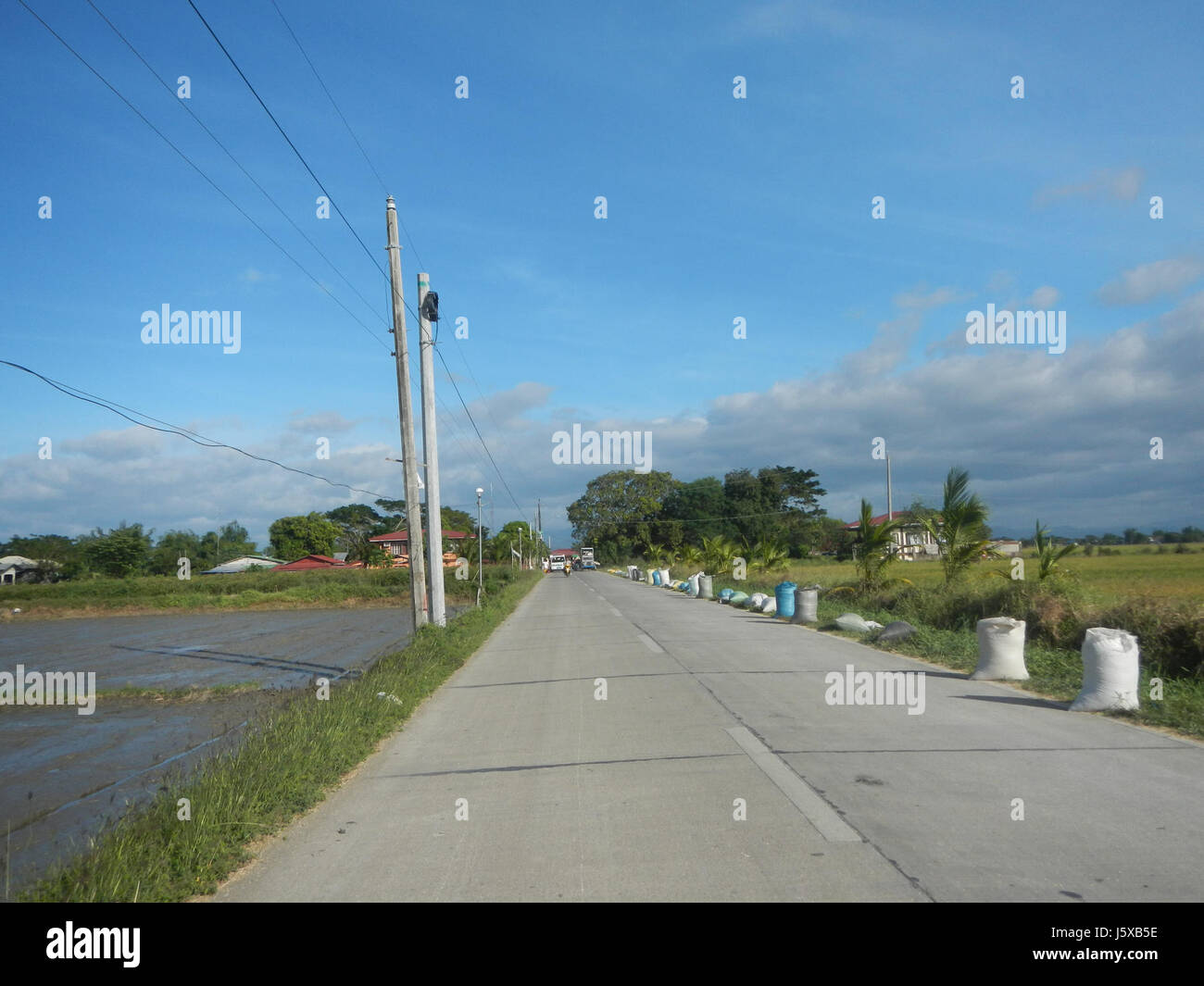 04473 Paddy fields Salapungan Roads Magumbali Candaba Pampanga  08 Stock Photo