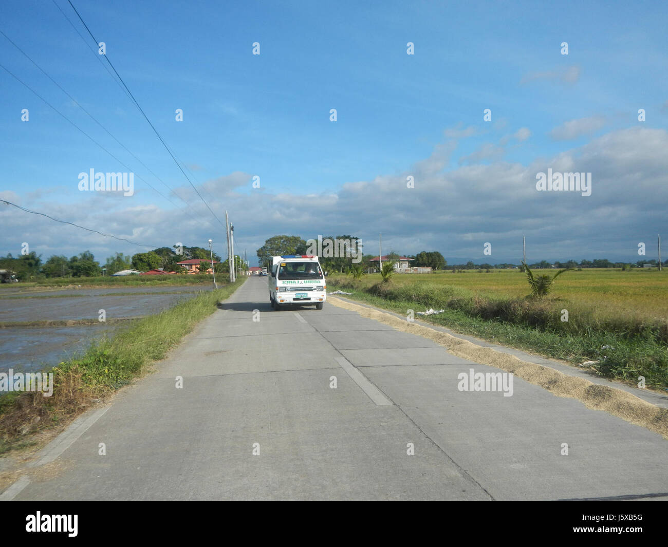 04473 Paddy fields Salapungan Roads Magumbali Candaba Pampanga  10 Stock Photo