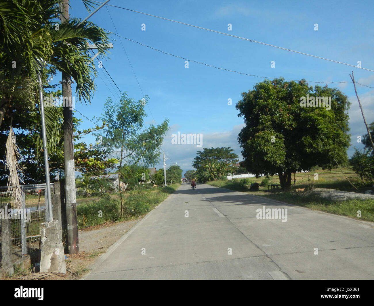 04473 Paddy fields Salapungan Roads Magumbali Candaba Pampanga  22 Stock Photo