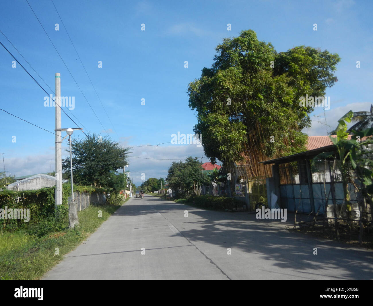 04508 Paddy fields Salapungan Roads Magumbali Candaba Pampanga  01 Stock Photo
