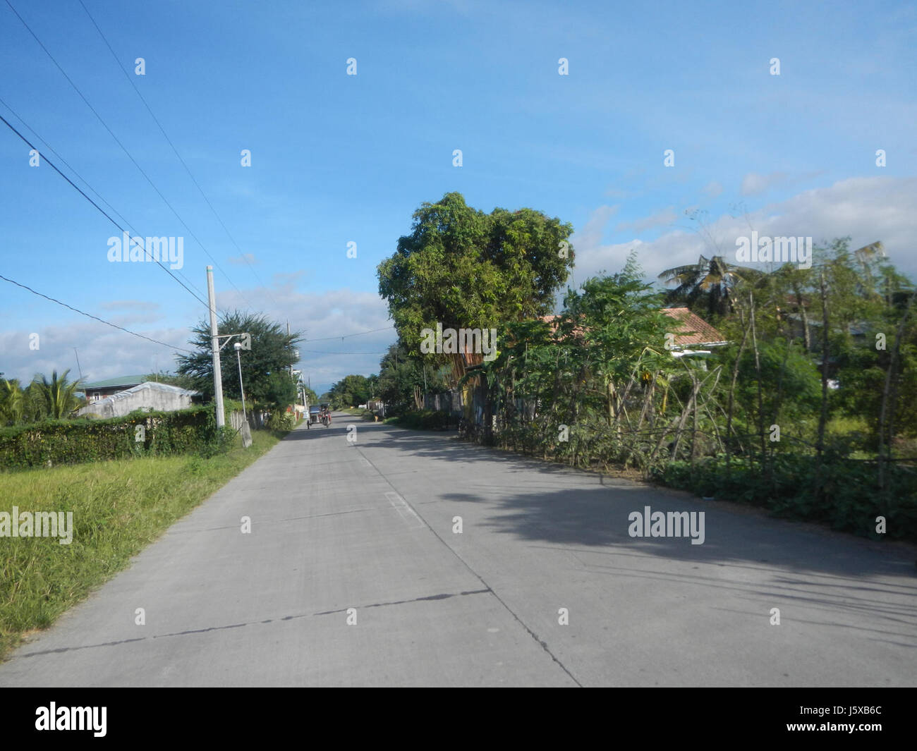 04508 Paddy fields Salapungan Roads Magumbali Candaba Pampanga  02 Stock Photo