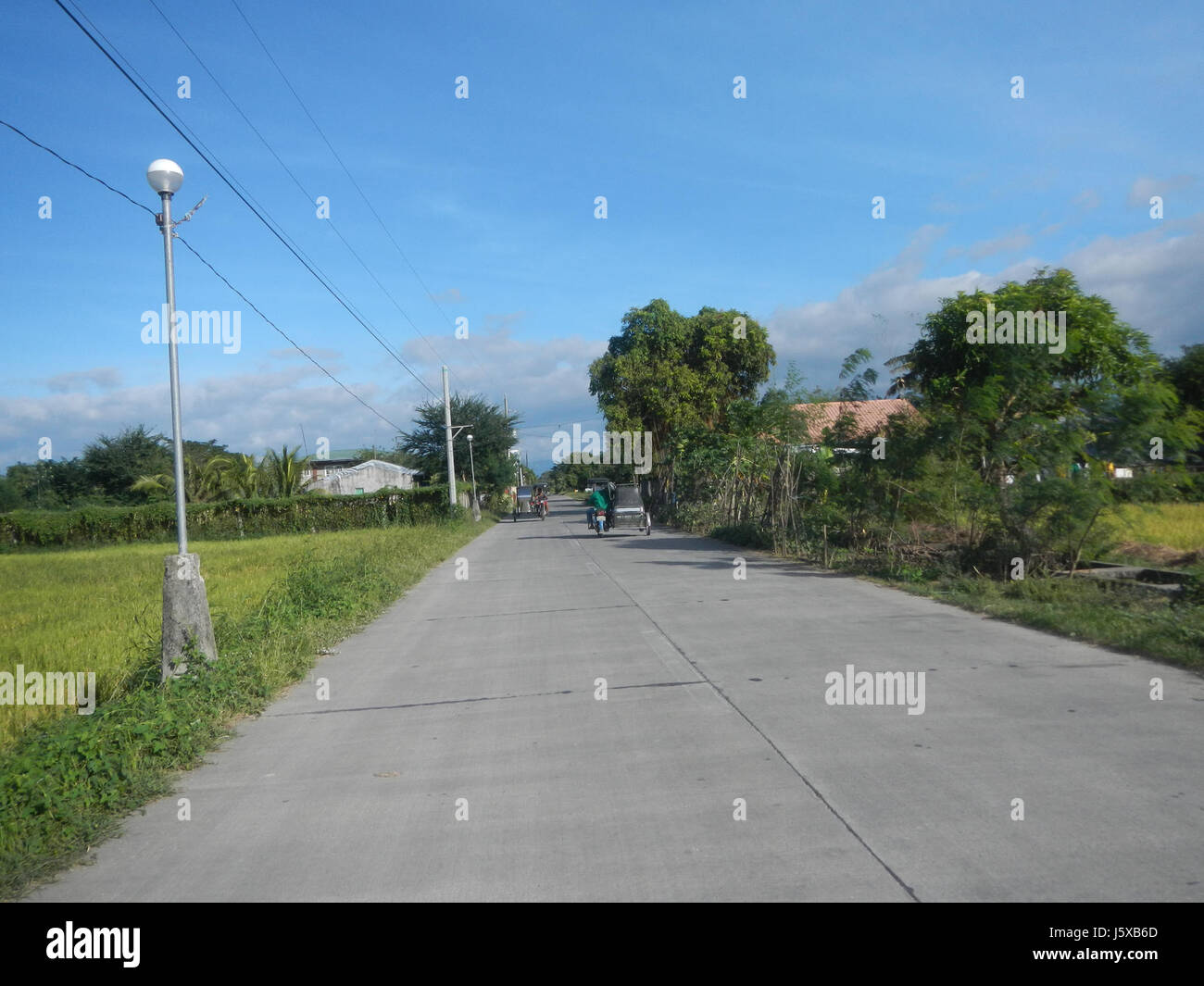 04508 Paddy fields Salapungan Roads Magumbali Candaba Pampanga  03 Stock Photo