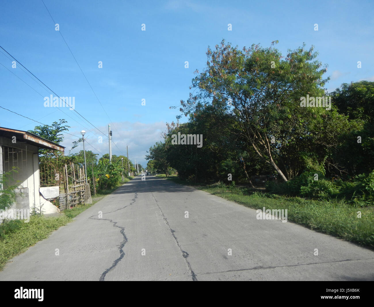04508 Paddy fields Salapungan Roads Magumbali Candaba Pampanga  09 Stock Photo