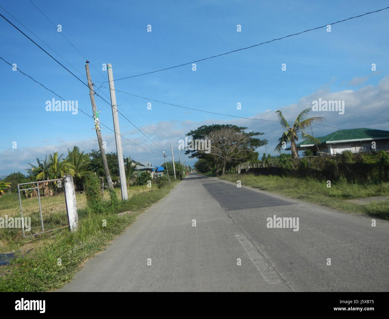 04508 Paddy fields Salapungan Roads Magumbali Candaba Pampanga  18 Stock Photo