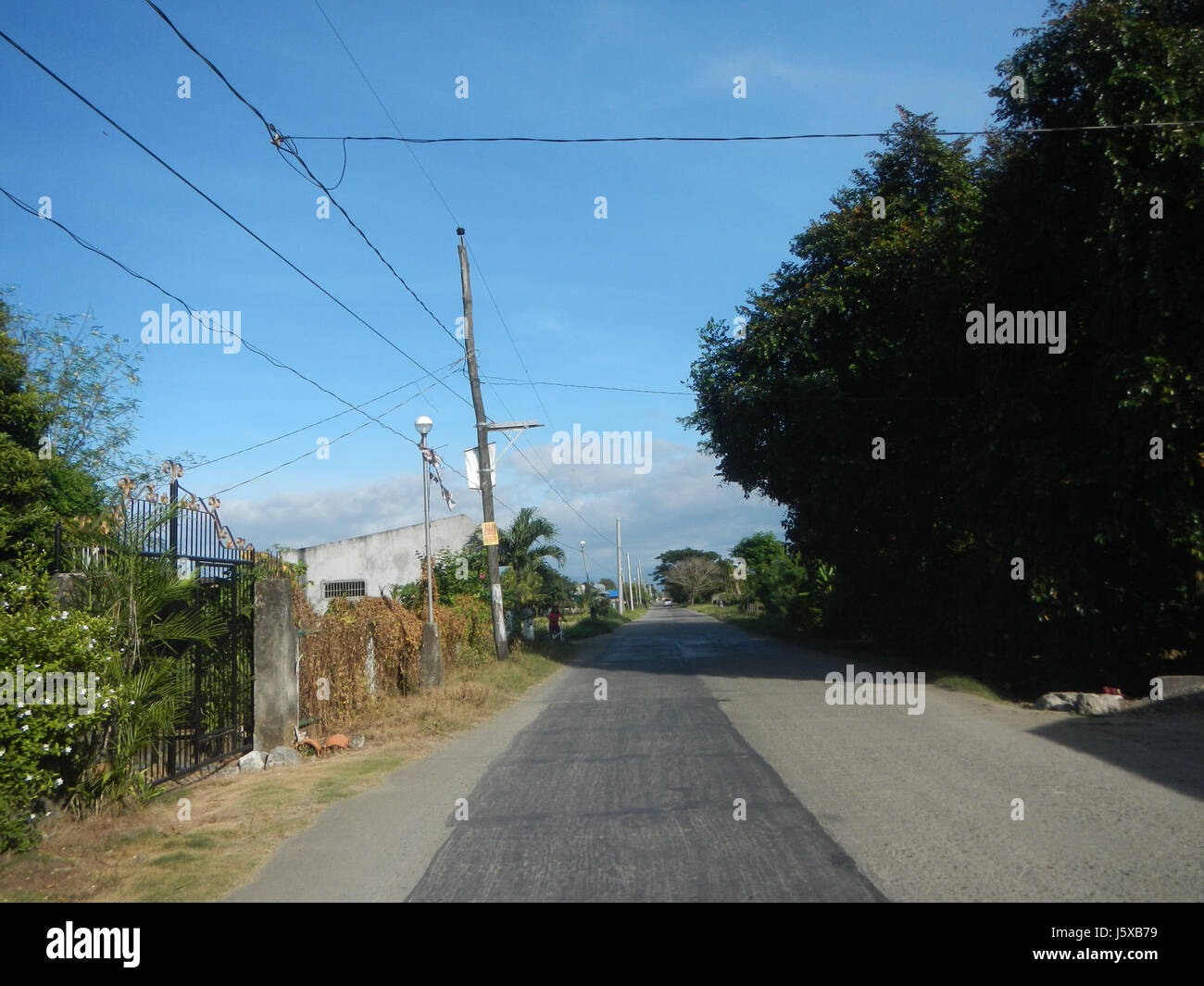 04508 Paddy fields Salapungan Roads Magumbali Candaba Pampanga  22 Stock Photo
