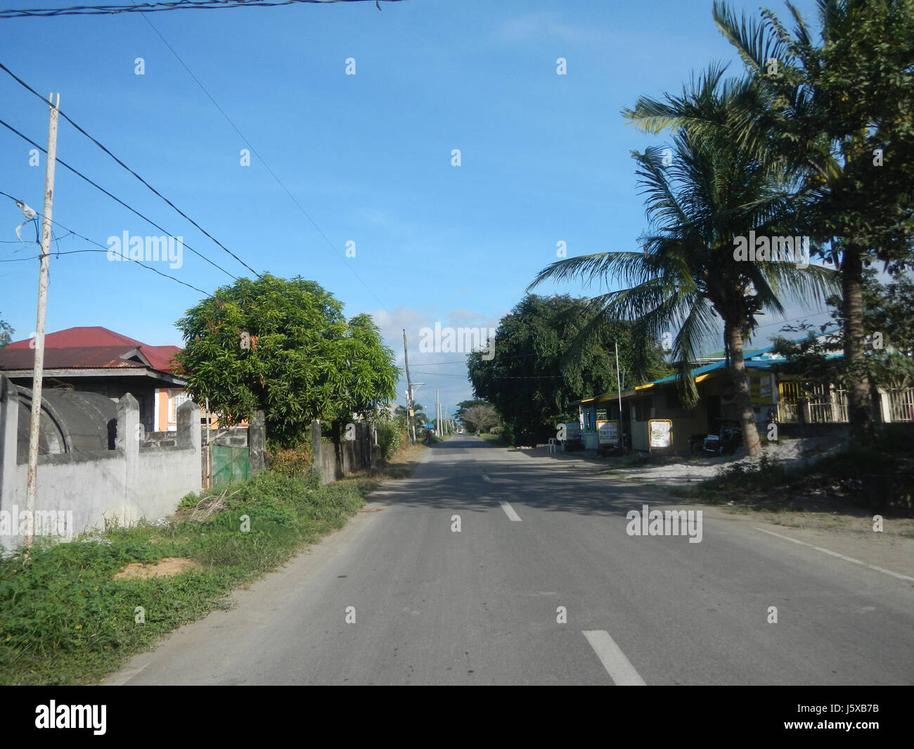 04508 Paddy fields Salapungan Roads Magumbali Candaba Pampanga  23 Stock Photo