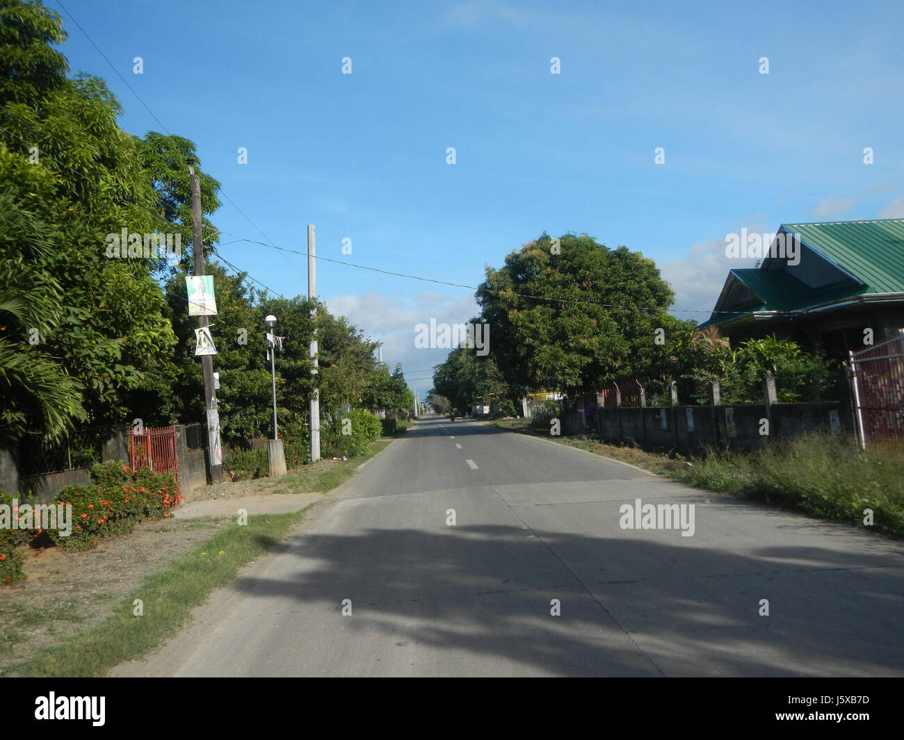 04508 Paddy fields Salapungan Roads Magumbali Candaba Pampanga  25 Stock Photo